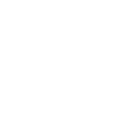 The Press Buzz